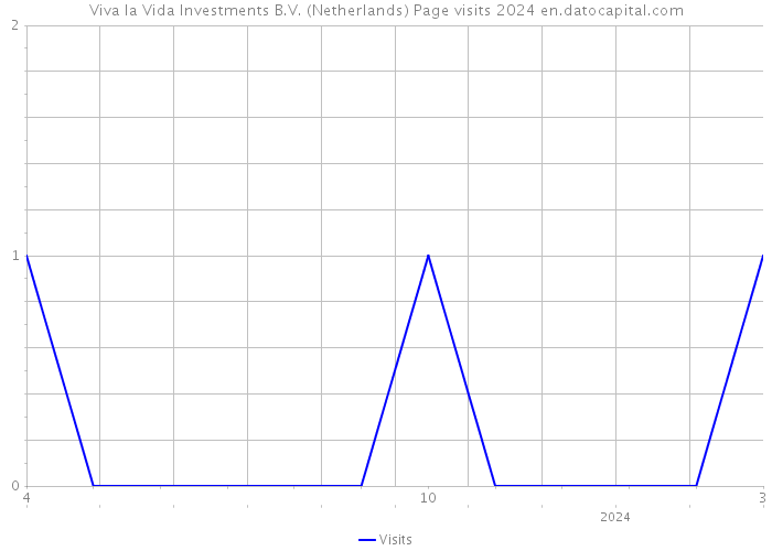 Viva la Vida Investments B.V. (Netherlands) Page visits 2024 