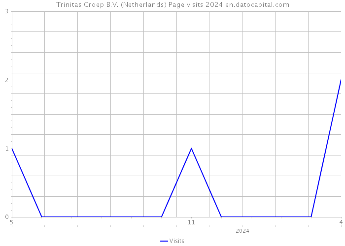 Trinitas Groep B.V. (Netherlands) Page visits 2024 