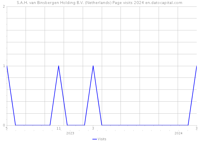 S.A.H. van Binsbergen Holding B.V. (Netherlands) Page visits 2024 