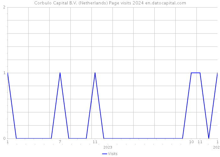 Corbulo Capital B.V. (Netherlands) Page visits 2024 