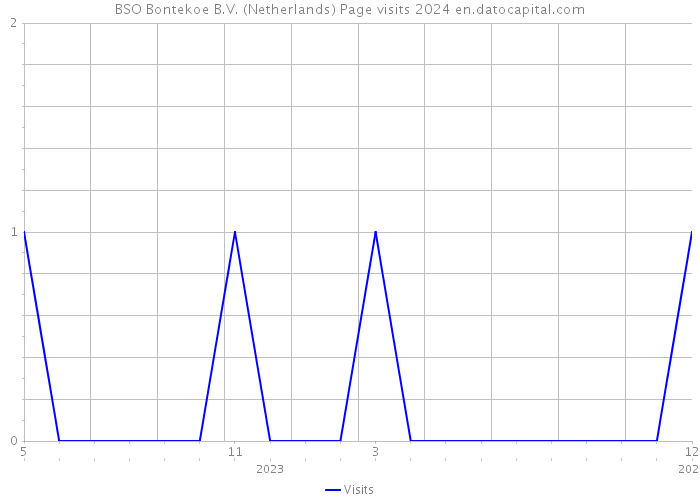 BSO Bontekoe B.V. (Netherlands) Page visits 2024 