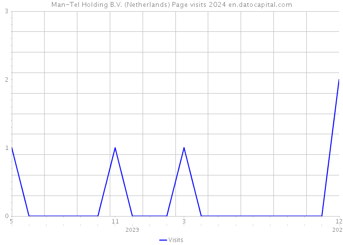 Man-Tel Holding B.V. (Netherlands) Page visits 2024 
