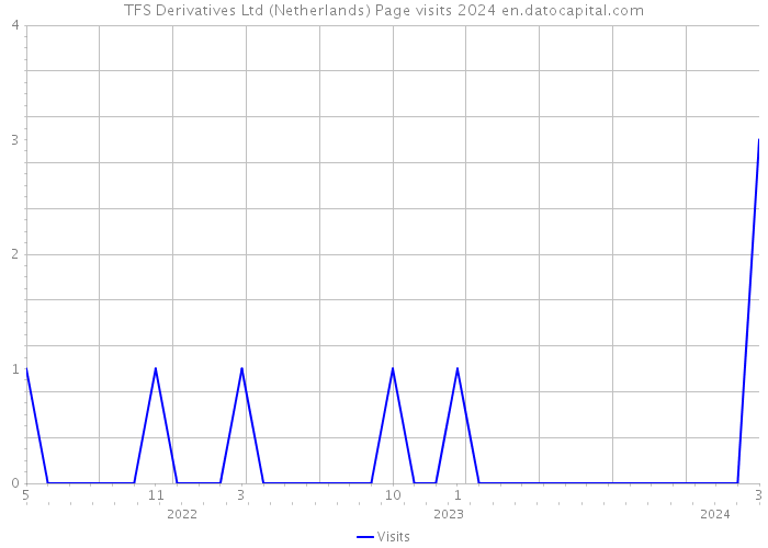 TFS Derivatives Ltd (Netherlands) Page visits 2024 