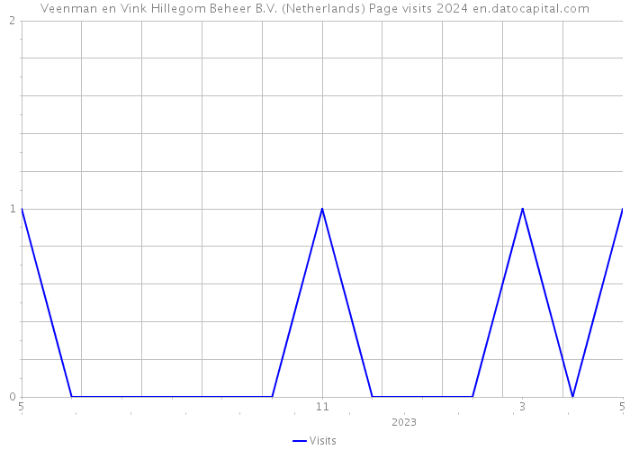 Veenman en Vink Hillegom Beheer B.V. (Netherlands) Page visits 2024 