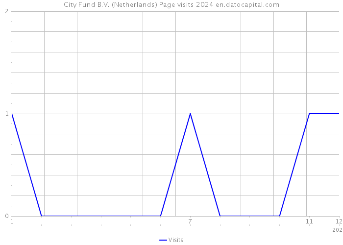 City Fund B.V. (Netherlands) Page visits 2024 