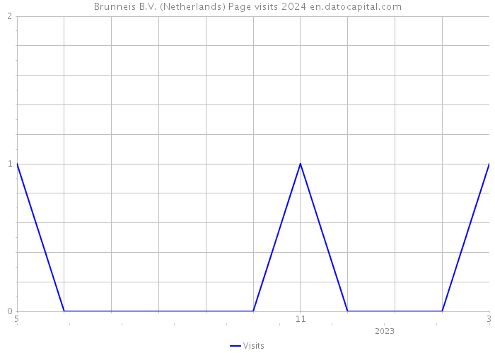 Brunneis B.V. (Netherlands) Page visits 2024 
