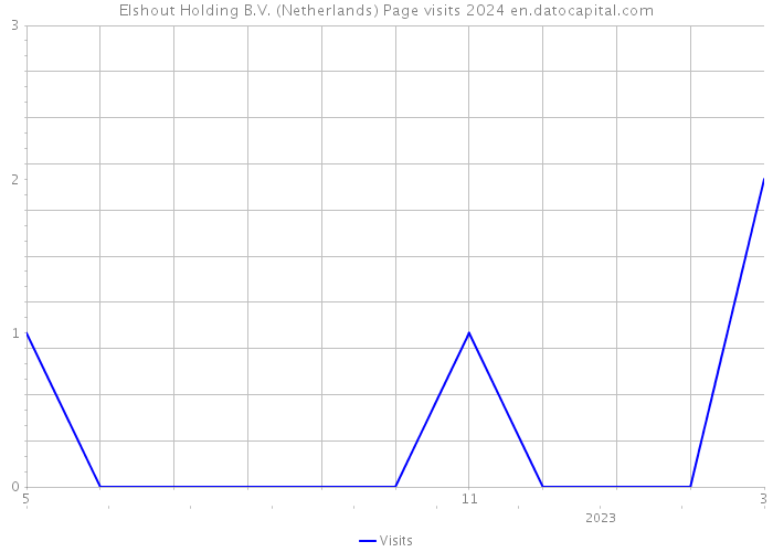 Elshout Holding B.V. (Netherlands) Page visits 2024 