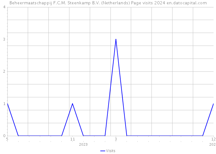 Beheermaatschappij F.C.M. Steenkamp B.V. (Netherlands) Page visits 2024 