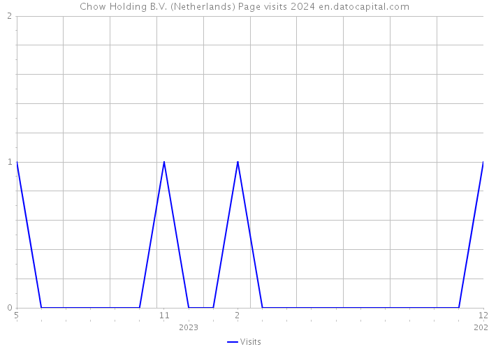 Chow Holding B.V. (Netherlands) Page visits 2024 