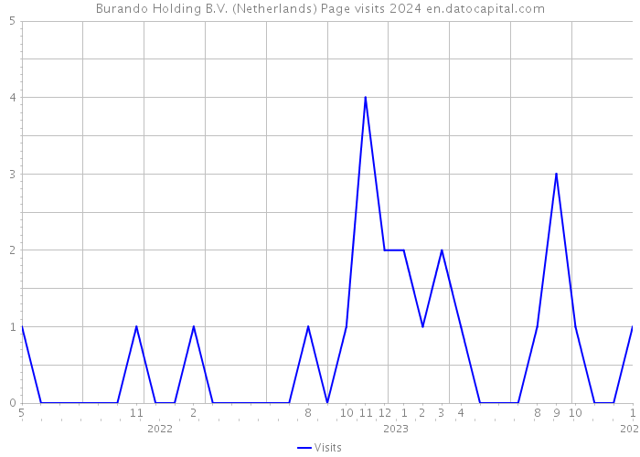 Burando Holding B.V. (Netherlands) Page visits 2024 