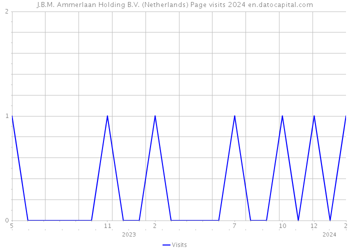 J.B.M. Ammerlaan Holding B.V. (Netherlands) Page visits 2024 