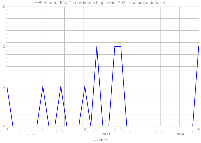 AEP Holding B.V. (Netherlands) Page visits 2024 