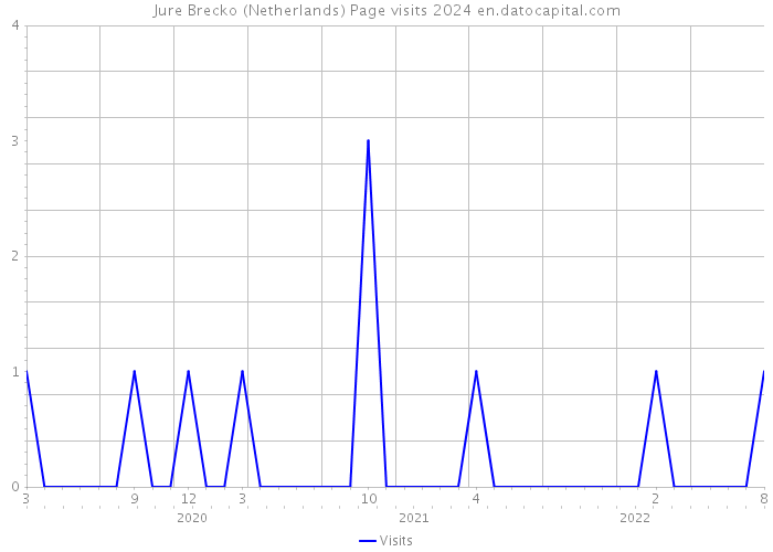 Jure Brecko (Netherlands) Page visits 2024 
