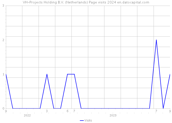 VH-Projects Holding B.V. (Netherlands) Page visits 2024 