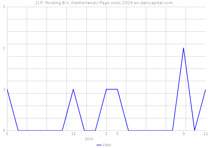 J.I.P. Holding B.V. (Netherlands) Page visits 2024 