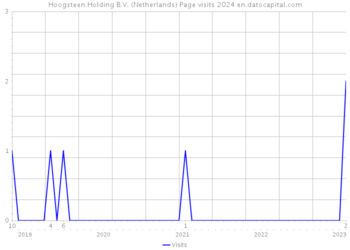 Hoogsteen Holding B.V. (Netherlands) Page visits 2024 
