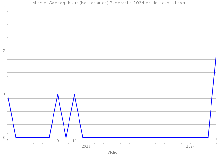 Michiel Goedegebuur (Netherlands) Page visits 2024 
