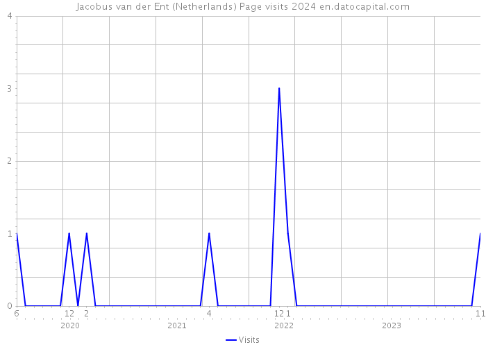 Jacobus van der Ent (Netherlands) Page visits 2024 