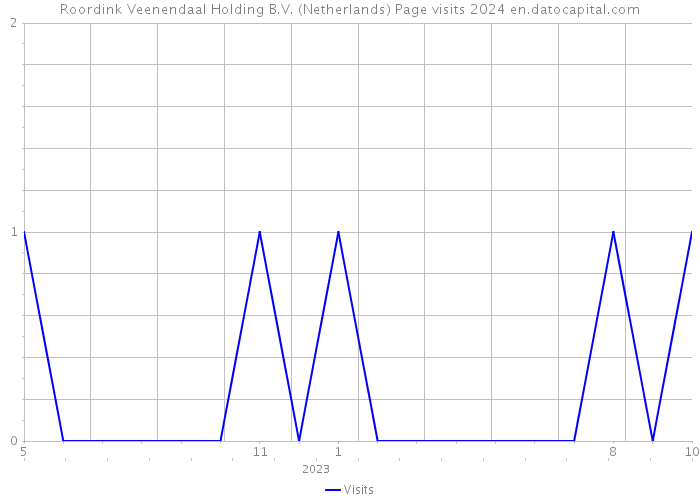 Roordink Veenendaal Holding B.V. (Netherlands) Page visits 2024 