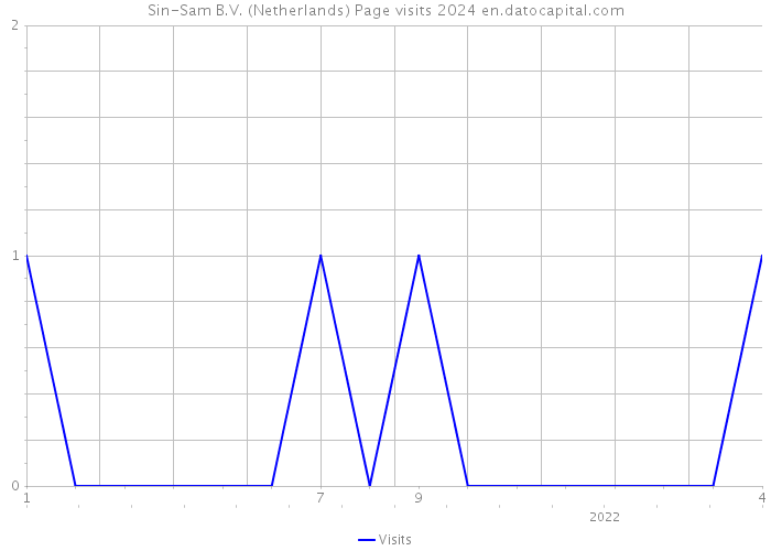 Sin-Sam B.V. (Netherlands) Page visits 2024 