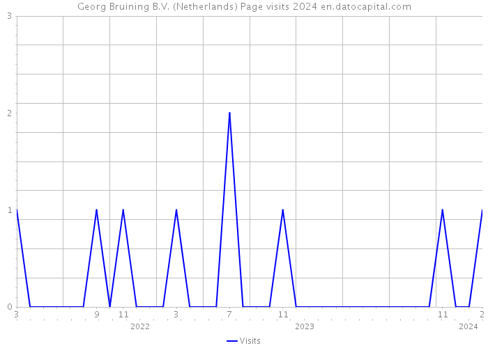 Georg Bruining B.V. (Netherlands) Page visits 2024 