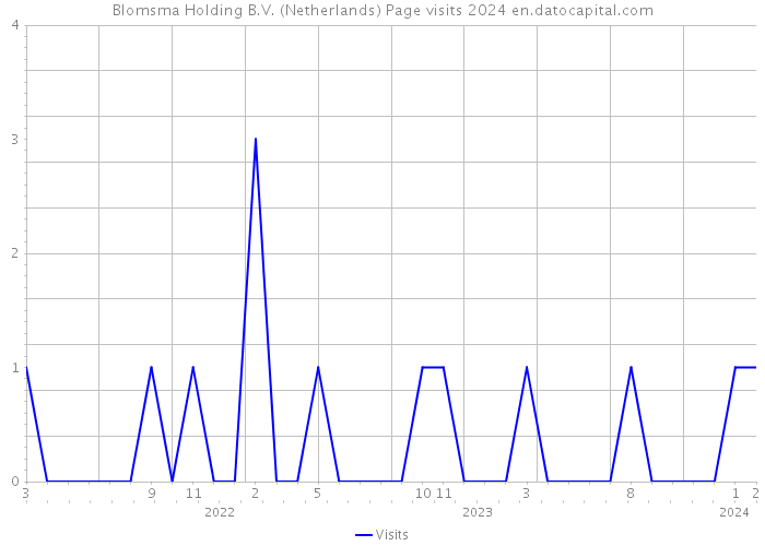 Blomsma Holding B.V. (Netherlands) Page visits 2024 