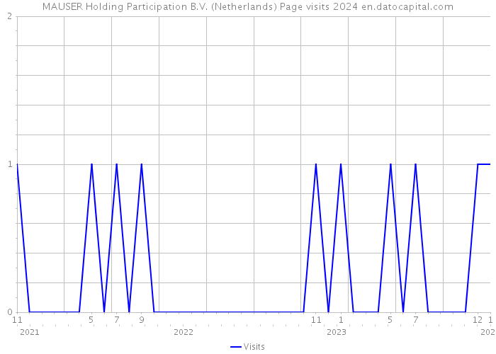 MAUSER Holding Participation B.V. (Netherlands) Page visits 2024 