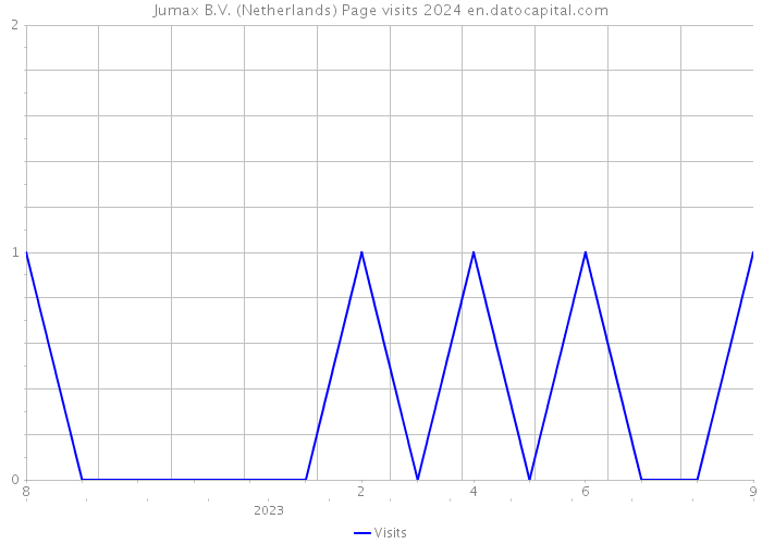 Jumax B.V. (Netherlands) Page visits 2024 