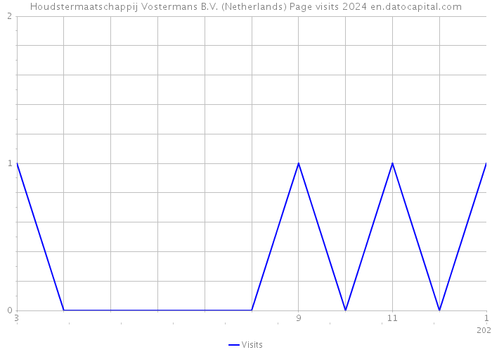 Houdstermaatschappij Vostermans B.V. (Netherlands) Page visits 2024 