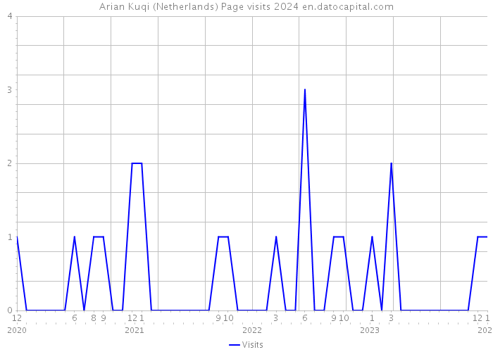 Arian Kuqi (Netherlands) Page visits 2024 