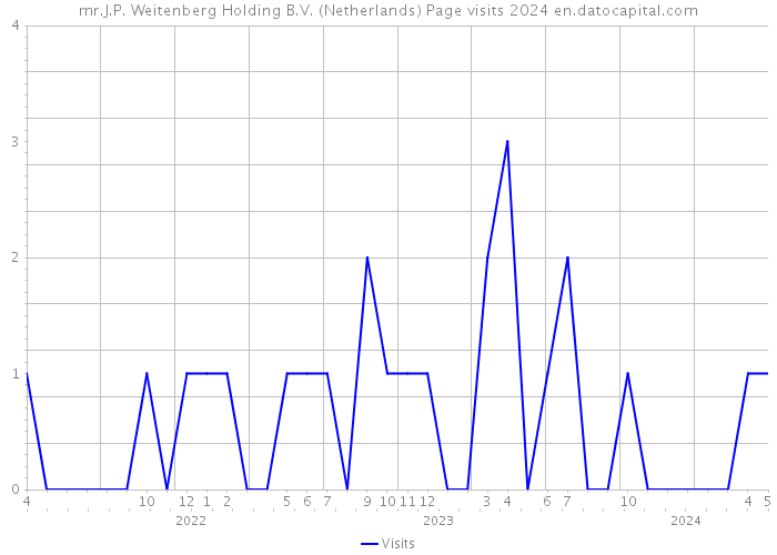 mr.J.P. Weitenberg Holding B.V. (Netherlands) Page visits 2024 