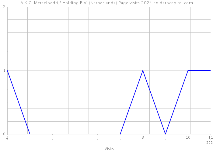 A.K.G. Metselbedrijf Holding B.V. (Netherlands) Page visits 2024 