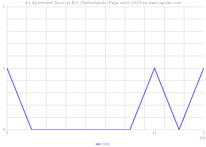 A1 Apartment Services B.V. (Netherlands) Page visits 2024 
