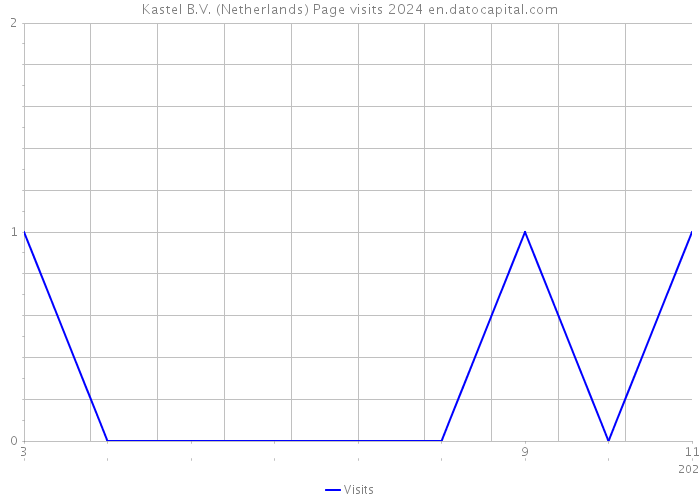 Kastel B.V. (Netherlands) Page visits 2024 