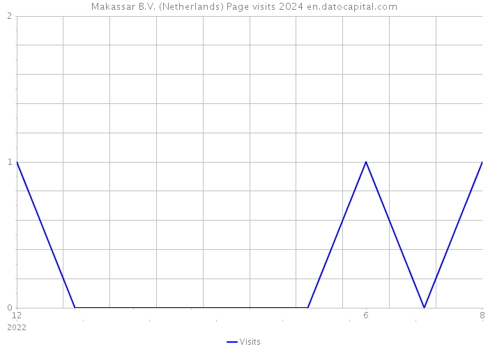 Makassar B.V. (Netherlands) Page visits 2024 