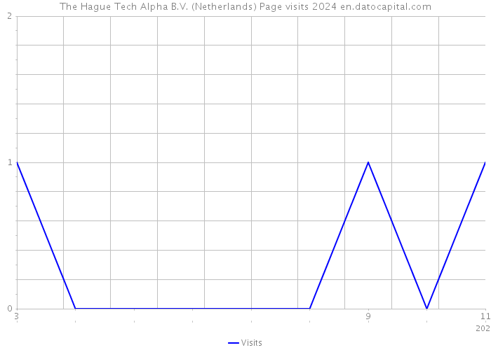 The Hague Tech Alpha B.V. (Netherlands) Page visits 2024 