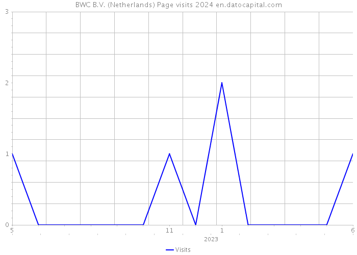 BWC B.V. (Netherlands) Page visits 2024 