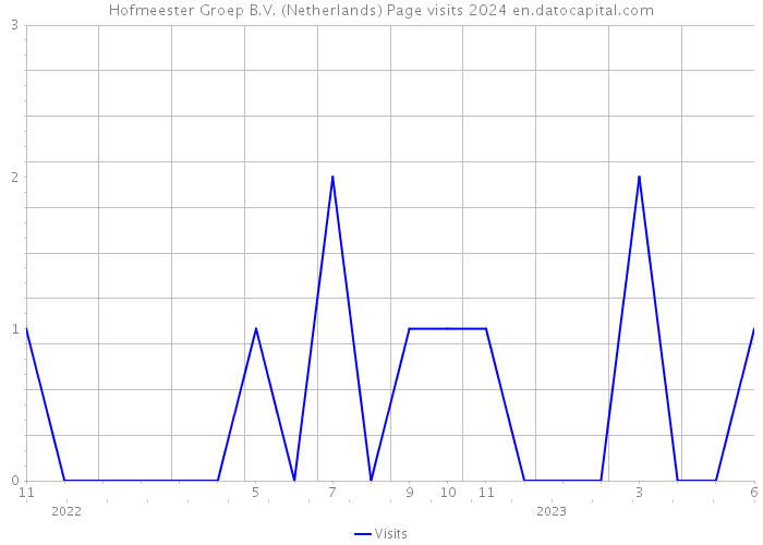 Hofmeester Groep B.V. (Netherlands) Page visits 2024 