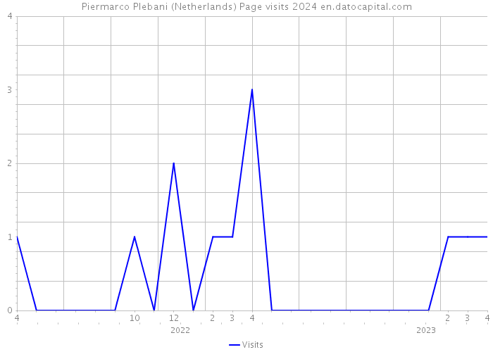 Piermarco Plebani (Netherlands) Page visits 2024 