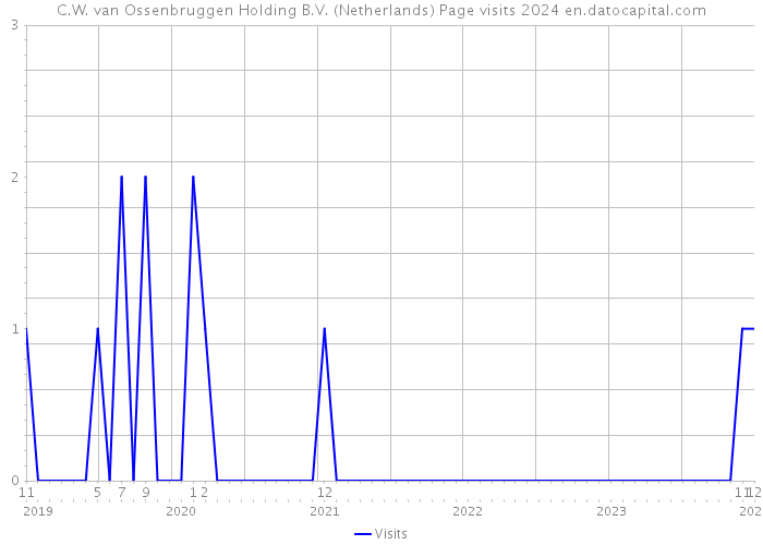 C.W. van Ossenbruggen Holding B.V. (Netherlands) Page visits 2024 