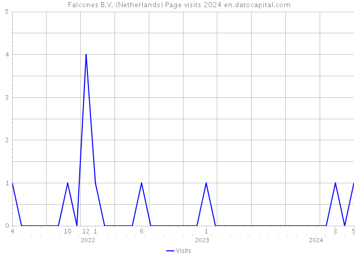 Falcones B.V. (Netherlands) Page visits 2024 