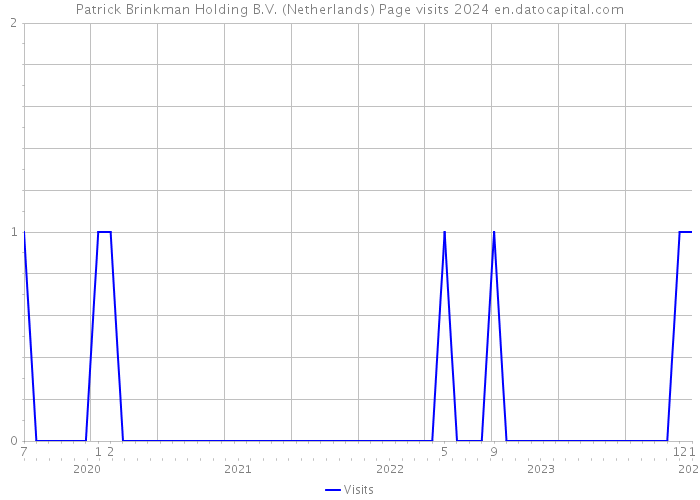 Patrick Brinkman Holding B.V. (Netherlands) Page visits 2024 