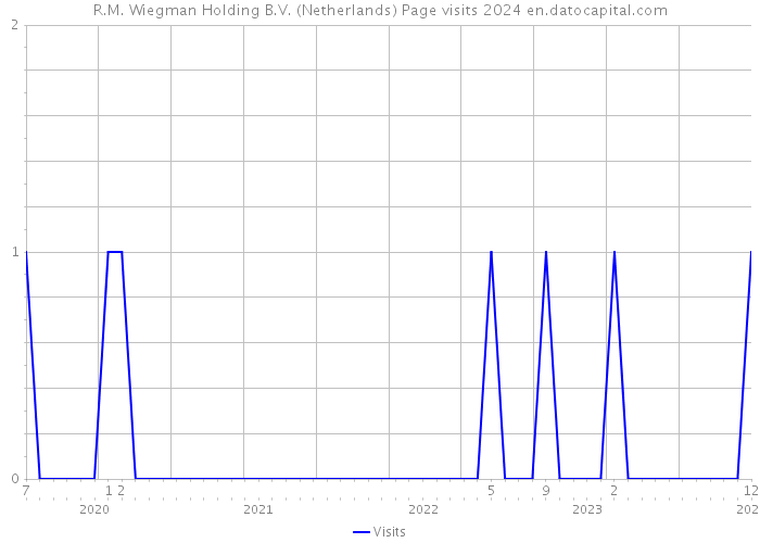 R.M. Wiegman Holding B.V. (Netherlands) Page visits 2024 