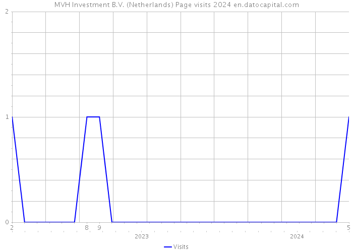 MVH Investment B.V. (Netherlands) Page visits 2024 