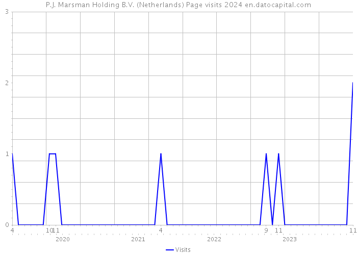 P.J. Marsman Holding B.V. (Netherlands) Page visits 2024 