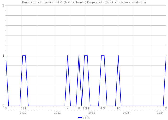 Reggeborgh Bestuur B.V. (Netherlands) Page visits 2024 