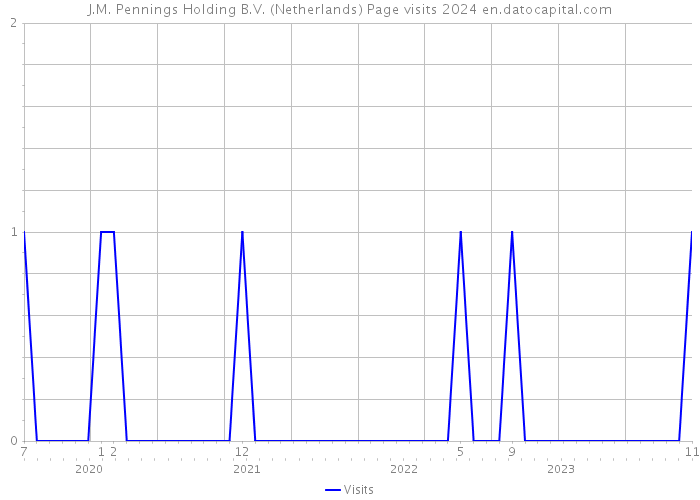 J.M. Pennings Holding B.V. (Netherlands) Page visits 2024 
