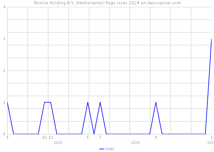 Skinive Holding B.V. (Netherlands) Page visits 2024 