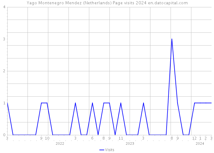 Yago Montenegro Mendez (Netherlands) Page visits 2024 