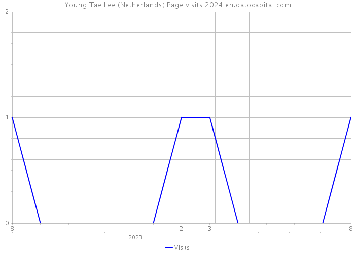 Young Tae Lee (Netherlands) Page visits 2024 